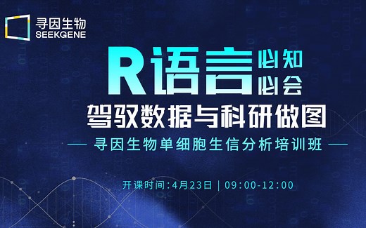 第三讲 | R语言-R包：Tidyverse使用技巧【寻因生物单细胞生信培训】