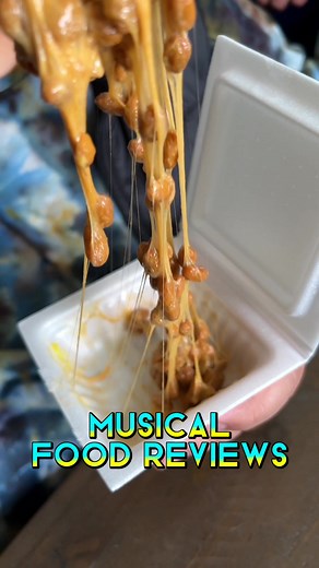 Unique Natto Food Review: Fermented Soy Beans Delight
