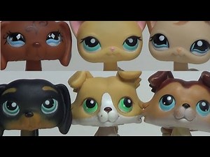 Littlest Pet Shop: Sweetheart (Mid-Season Introductory Sequence)