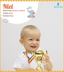 Niel Name, Origin, Meaning, History, And Popularity