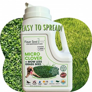 Micro Clover Lawn Seed Mix: Mow Less Fine Fescue, Non-gmo Organic - Etsy