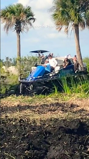 Will the Swamp Buggy on 35.5’s Pull Through #mudbog #offroad #horsepower #mudslinging #shorts