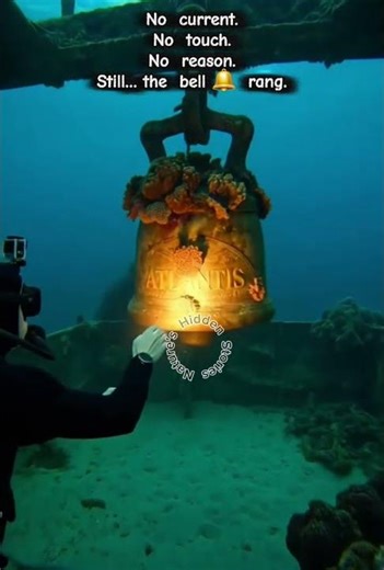 They say ship bells only ring for the living…So why did this one ring down here?