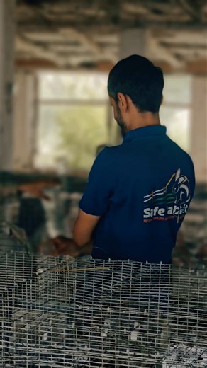 Pakistan's Largest Rabbit Farming Network