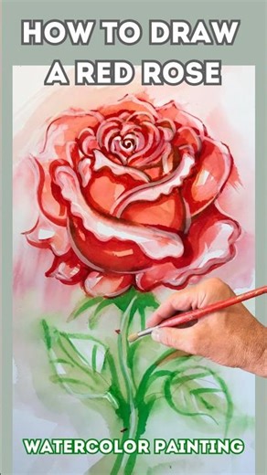 How to draw a Red Rose? #art #painting #watercolor #shorts