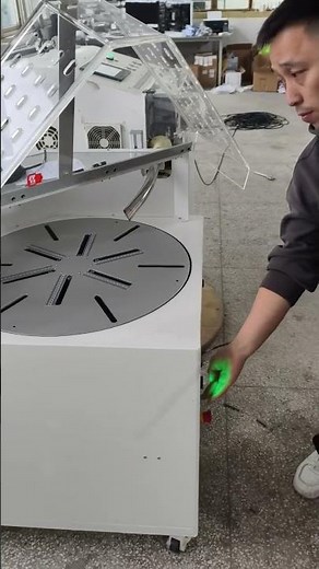 Fully automatic wire cutting and stripping machine with automatic wire-winding machine