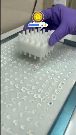 How to Fill Capsules