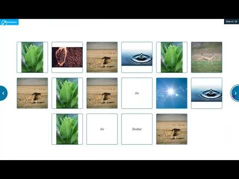 First Grade Nearpod Science Lesson -2026