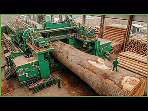 Inside the Largest Wood Sawmill Factory – How Plywood Is Made From Logs to Table | factory