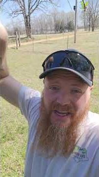 🌳 Fix Fruit Tree Problems This Spring #springequinox #spring #spring2026 #springvibes #fruittrees