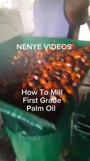 The quality of your Fresh palm fruit determines the type of palm oil that will be gotten. #chinenyeezeonyebuchi | Chinenye Ezeonyebuchi
