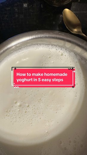 How to Make Homemade Yogurt in 5 Easy Steps