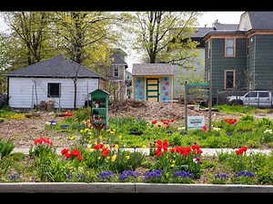 Building Blocks of Kalamazoo revitalizes Vine neighborhood beauty with community garden