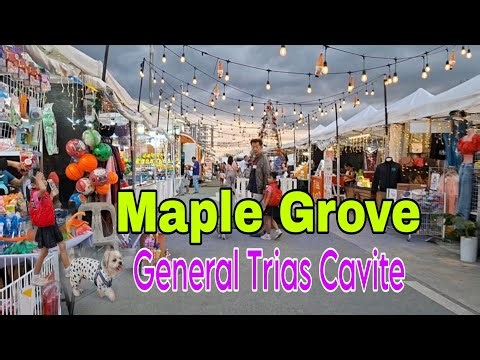 Walk at Maple Grove Street food | Tour in General Trias | Mhadz Katagiri Vlog