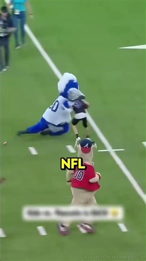 Funniest Mascot Moments Caught on Camera!