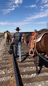 #Reels #Horses #Railroad | The Farm on Route 66