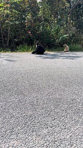 5K views · 66 reactions | #March #March2025 #WelcomeMarch #HelloMarch...