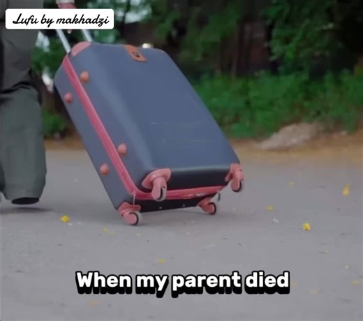 Lufu by Makhadzi: Lyrics and Meaning Explained