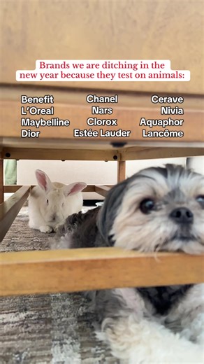 Set your New Year’s resolution for 2026 to go cruelty-free and say goodbye to these brands that STILL test on animals. If one of your favorite brands is on this list, don’t worry. I PROMISE you there are so many amazing cruelty-free alternatives. IB: @Jess | veganbeautyaddict #crueltyfree #newyearsresolution #newyearresolution #newyears2026 #crueltyfreebeauty
