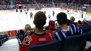 Calgary Hitmen crowds expected to grow