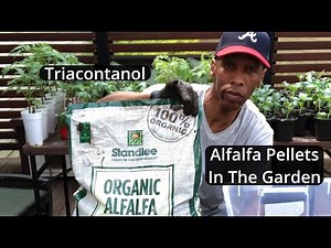 🌱 Boost Your Garden with Alfalfa Pellets! 🌱