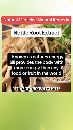 Is Nettle Root Extract Nature's Ultimate Energy Pill? Nettle root extract, hailed by some as "nature's energy pill," is purported to offer unparalleled energy-boosting benefits compared to any food or fruit globally. Advocates of this herbal remedy suggest that nettle root extract enhances vitality and stamina, providing a natural and sustained energy lift without the crashes associated with caffeine or sugar. Rich in essential nutrients, including vitamins, minerals, and phytonutrients, nettle 