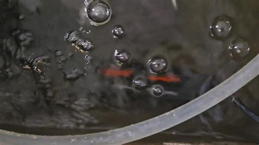 13K views · 101 reactions | Here's my filter system that keeps me clean. | Tank Gilfillan | Facebook