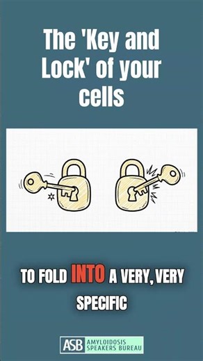The 'Key and Lock' of Your Cells