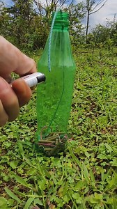 137K views · 797 reactions | Cracker Vs Sprite Bottle #Crackers #crackers2024 #fireworks #fireworksdisplay #Fireworks2024 #firecracker #experiment #shortsvideos #FacebookReelsContest | Fireworks Videos | Facebook