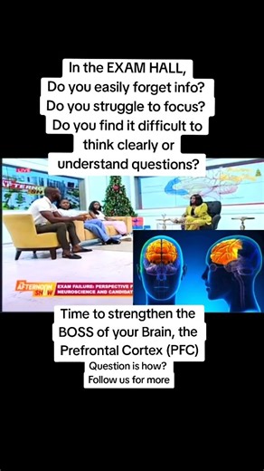 Prefrontal Cortex: Understand the work of the BOSS of theBrain🧠 #motivation #Brain #students #exams