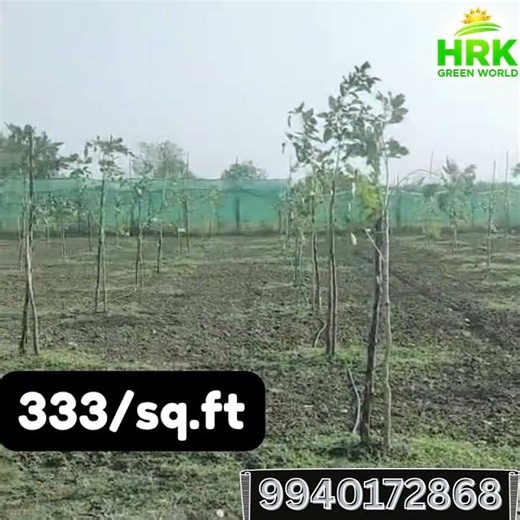 Low Investment High Return Land | Near Chennai | Call 9940172868