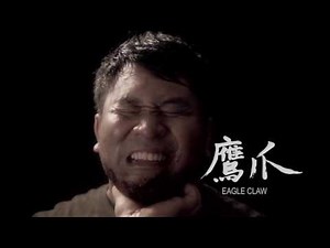 Xing Yi Quan Techniques and Applications