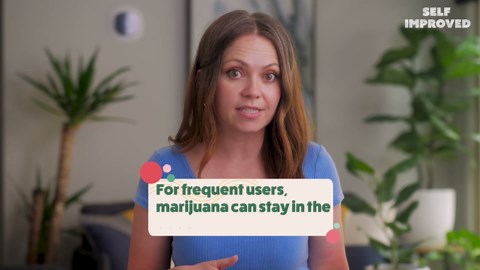 How long marijuana stays in your system