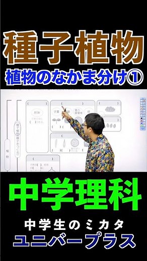 植物のなかま分け①種子植物 #種子植物 #被子植物 #裸子植物 #定期テスト対策 |#中学理科 #植物 #胚珠 #定期テスト対策 #高校受験 #勉強