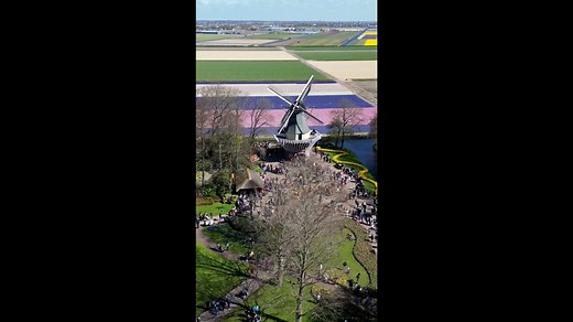 Drone Views of The Netherlands: Windmills, Tulips, Canals and Towns.