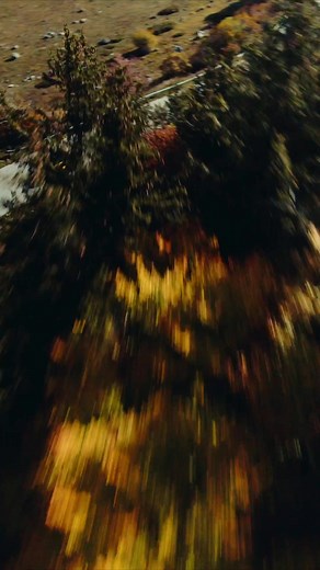 POV: you are raising the bar of what means having a great driving experience. www.LamborghiniHouston.com | Lamborghini Houston