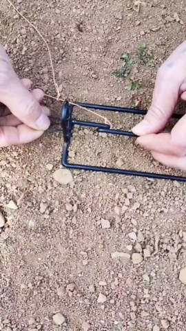 Small Animal Trap Rabbit Raccoon 2 Pack Humane Live Hunting Trap