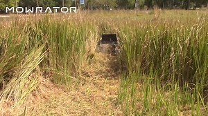 2.3K reactions · 226 shares | Mow Like a Beast, Effortlessly...