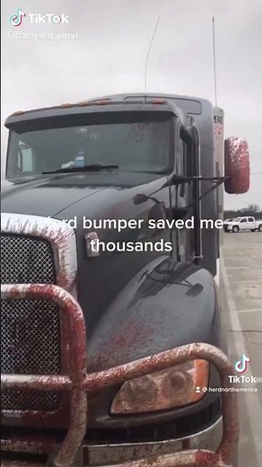 Deer Hit AFTERMATH | Truck Survives after Deer Explodes from HERD Grille Guard