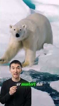 Something brought this polar bear to the ship... and it wasn't the boat