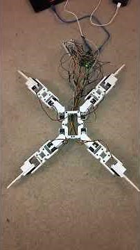 Custom Robotic Arduino Spider