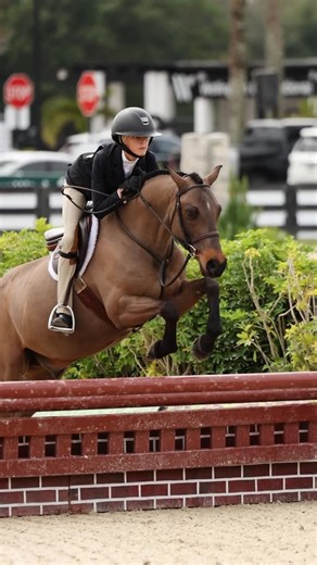 Artemis Equestrian Farms on Instagram: "A Sunday on Pony Island? Yes please💛 Harper Clark had a great start to her season, taking 🥇 in the Pony Medal with Fox Creek’s Curious George, top 3️⃣ placings in the Large Pony Hunters with Rashinga, & solid rounds in the Medium Ponies with Dunlovin✨ Thank you @meredith_mb for sharing your special pony, Rashinga, with us and coming to support! #TeamArtemis"