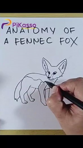How to Draw Fennec Fox Big Ears in Less Than One Minutes