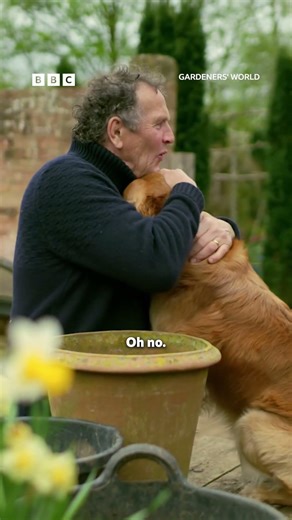 Monty Don and Ned 🥰