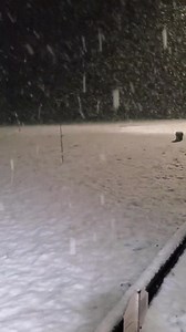 Since, we have no place to go, let it snow Camden, TN 📸 Ben Richardson | Tennessee River Valley News