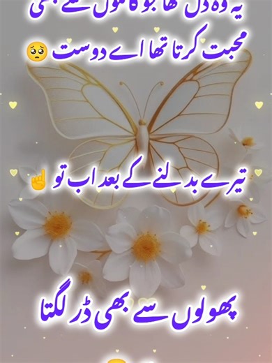 Understanding the TikTok Team Views Problem