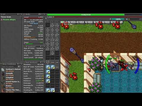 Bug Hunt analyzer tibia 14-04-2026
