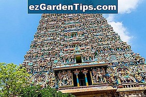 Hoe Indiase bloemenslingers te maken 🌱 Tips Tuinders - Nl.ezGardenTips.com