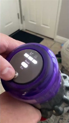 Dyson V11 Animal Review