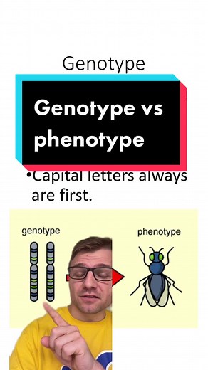 Genotype vs Phenotype: Understanding the Basics